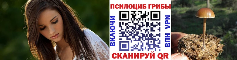 блэк спрут вход  Ивангород  Галлюциногенные грибы ЛСД 